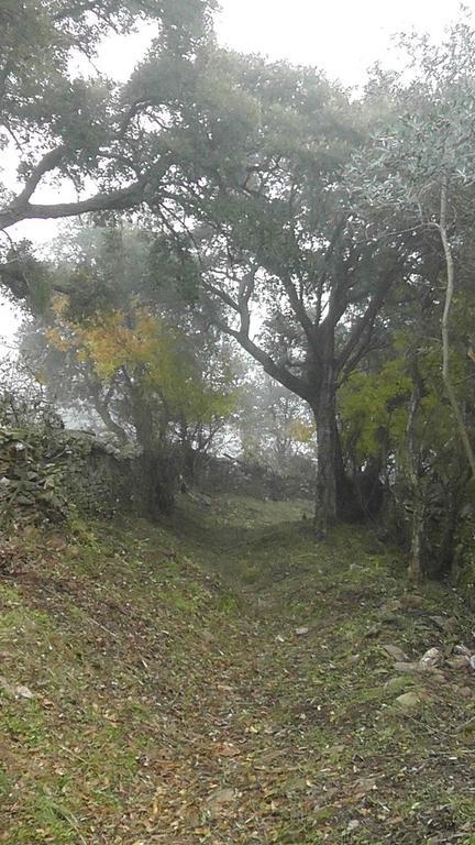 Gasthaus Los Montes Casas de Miravete Exterior foto